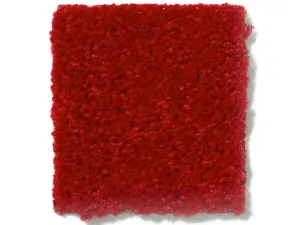 RUNNER - RED | 10' x 50'