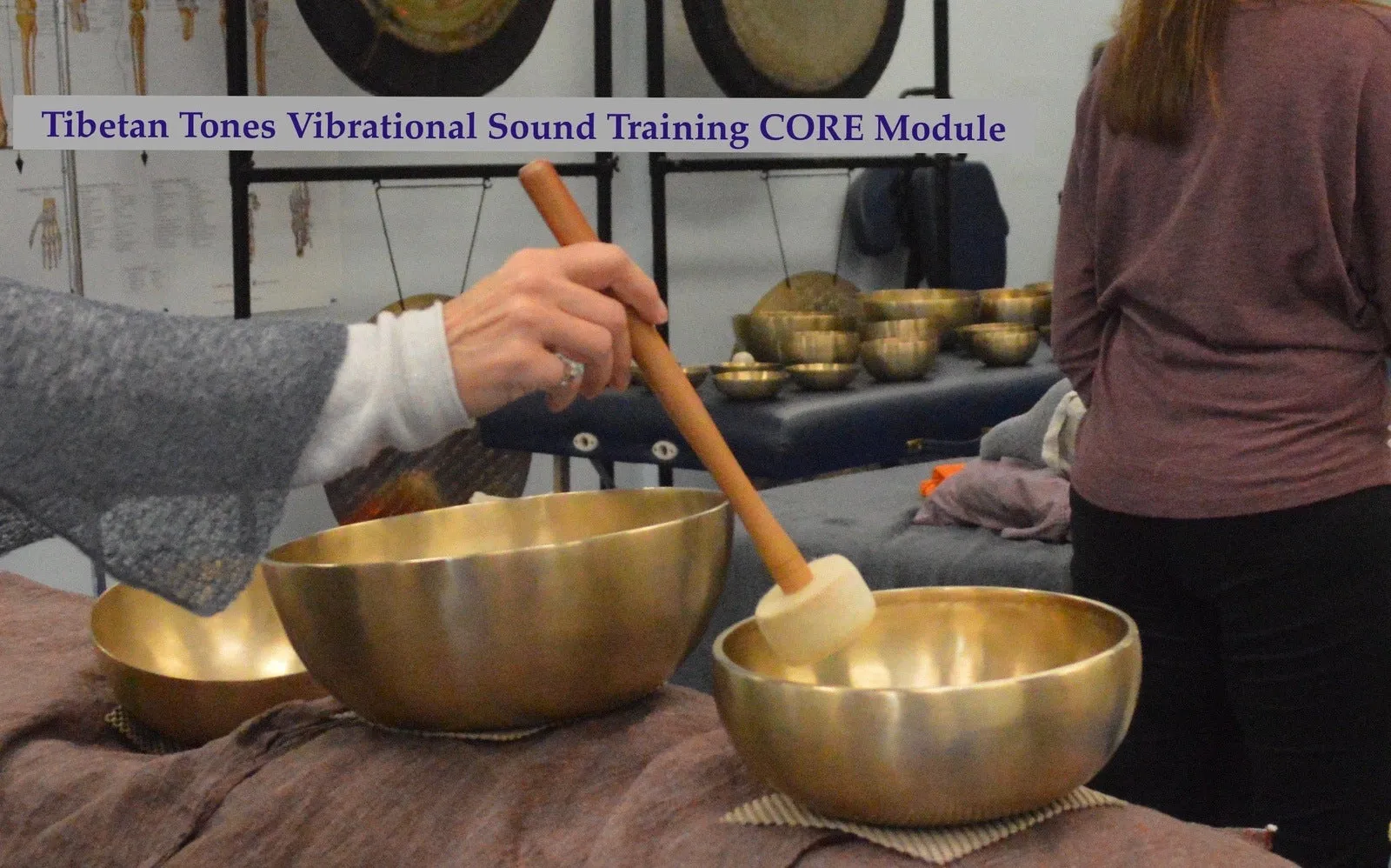 Sound Therapy bowl set  w/ training   On line