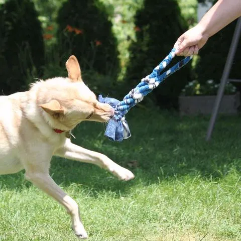 Spiral Tug Toys: More Than Just Tug-of-War