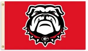 UGA 3' x 5' New Dog House Flag