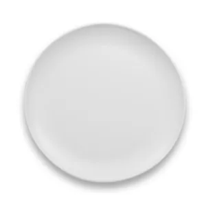 White Matte Dinner Plate
