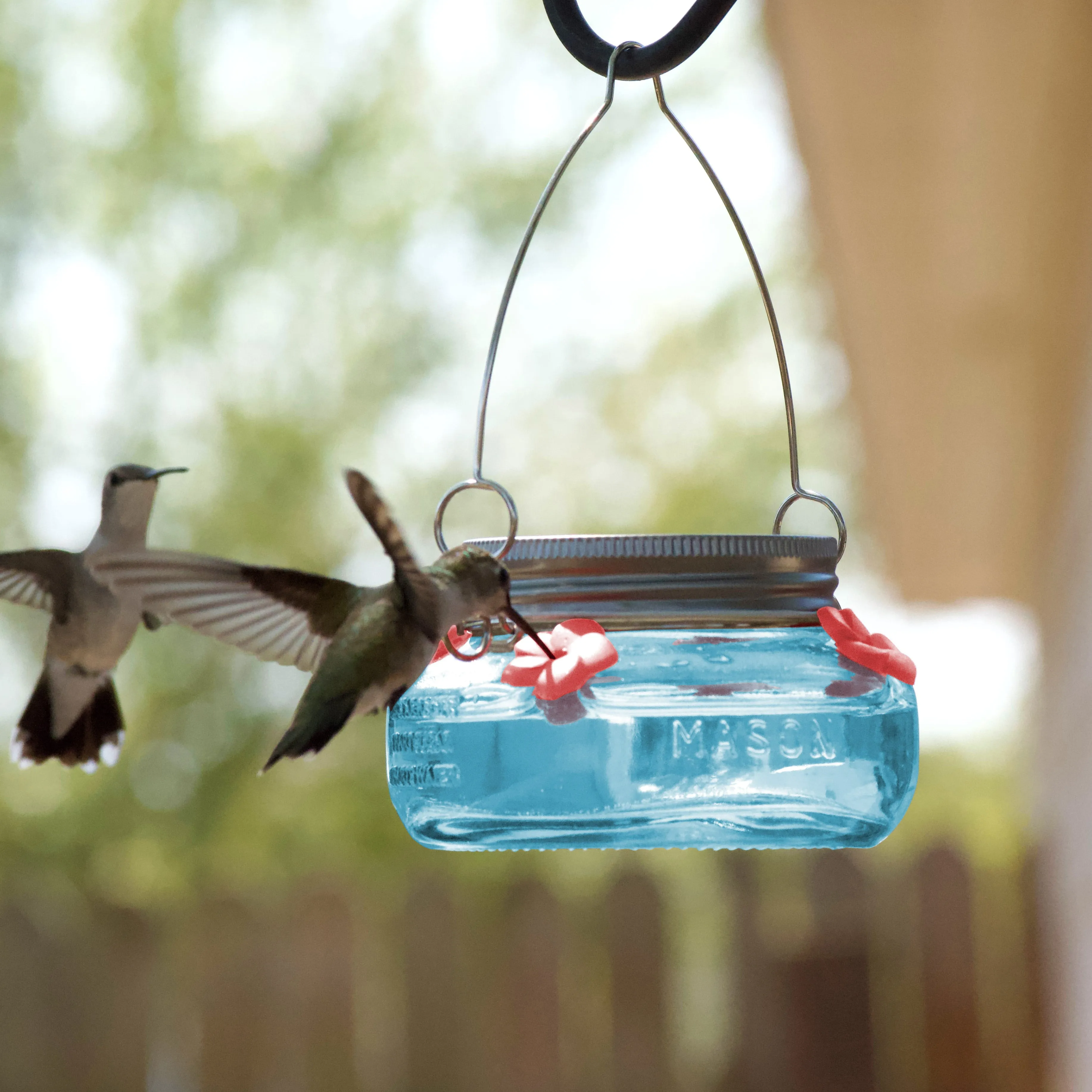 Wild Wings Antique Teal Mason Jar Hummingbird Feeder Durable Glass Dish 6 ounce