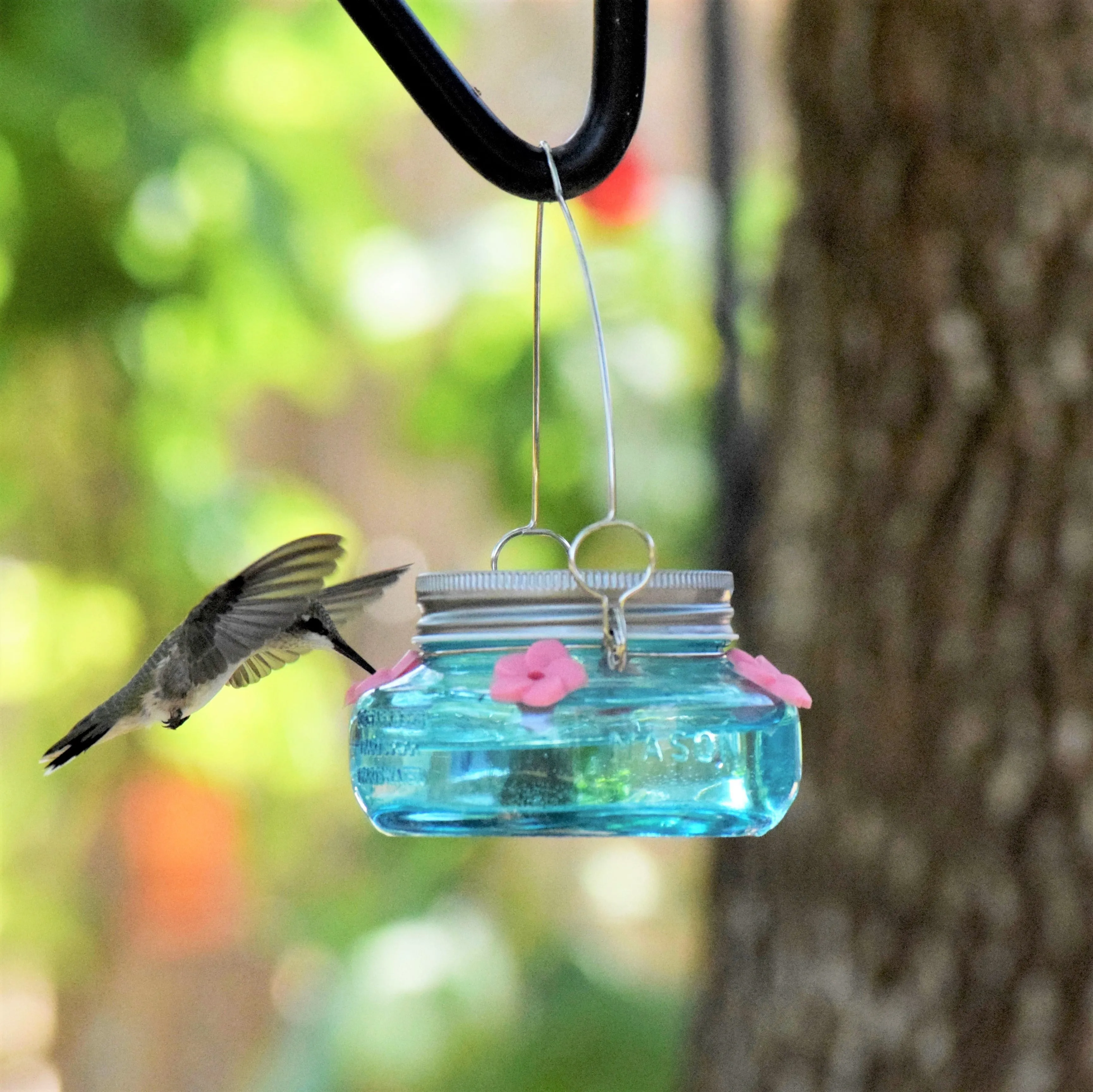 Wild Wings Antique Teal Mason Jar Hummingbird Feeder Durable Glass Dish 6 ounce