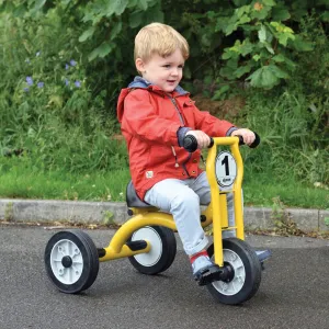 Wisdom Small Trike